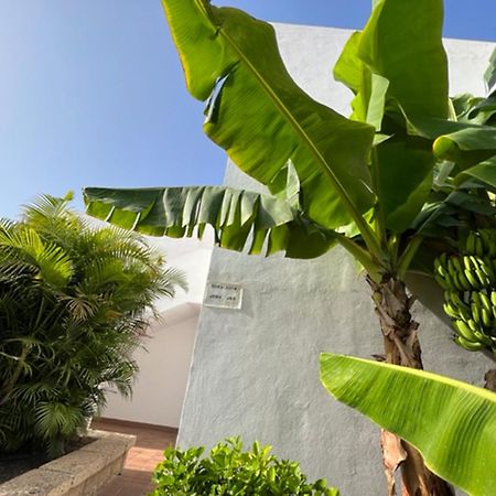 Apartament Malibu Blue Costa Adeje Dış mekan fotoğraf