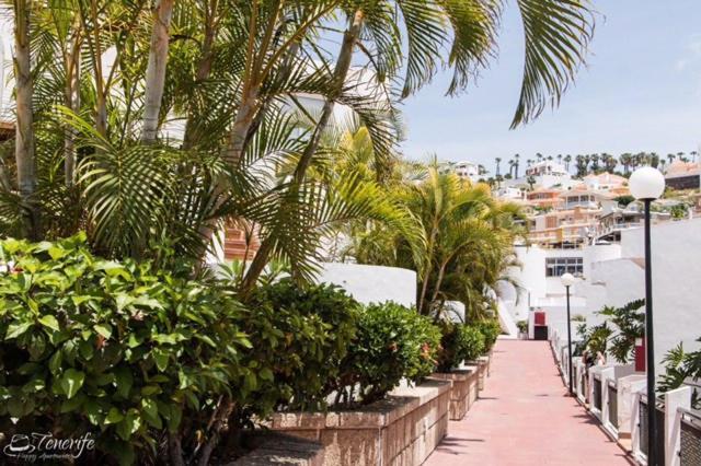 Apartament Malibu Blue Costa Adeje Dış mekan fotoğraf