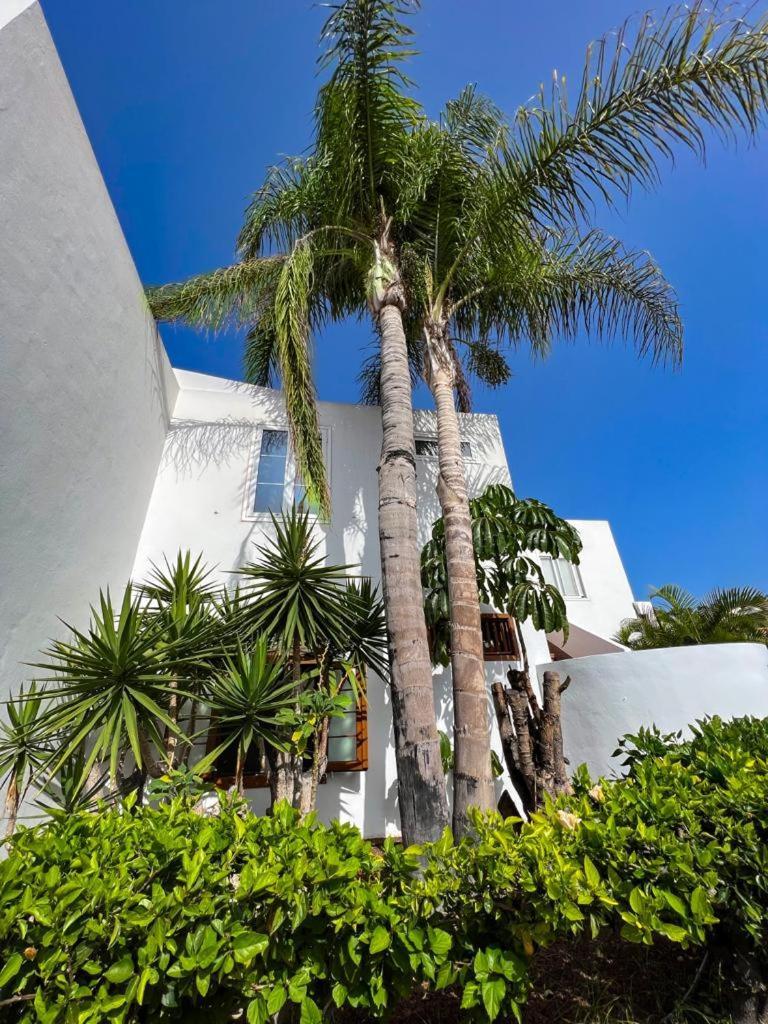 Apartament Malibu Blue Costa Adeje Dış mekan fotoğraf